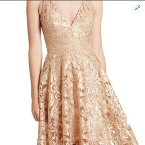 Dress the Population Fit and Flare Dress